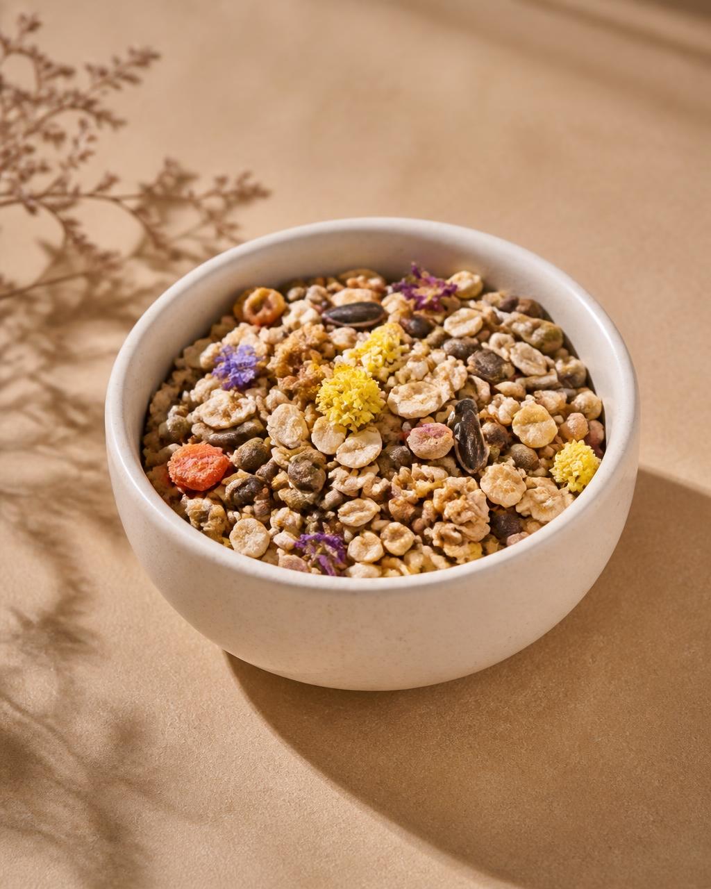 Ceramic bowl filled with premium hamster food mix